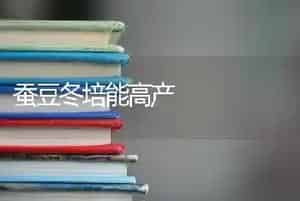 蚕豆冬培能高产