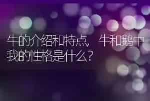 牛的介绍和特点