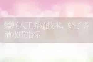 缢蛏人工养殖技术