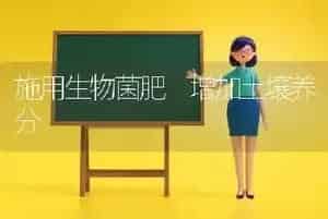 施用生物菌肥 增加土壤养分