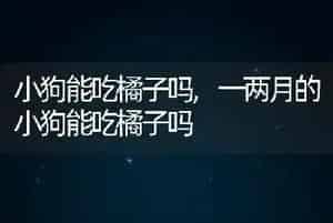 小狗能吃橘子吗