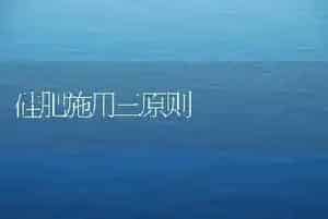 硅肥施用三原则
