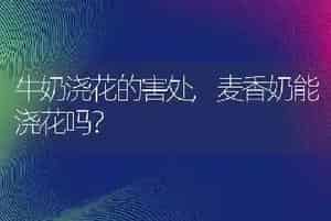牛奶浇花的害处