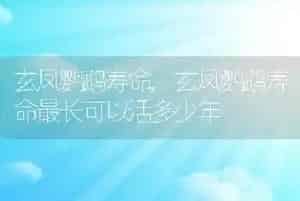 玄凤鹦鹉寿命