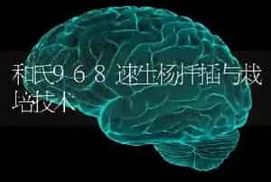 和氏968速生杨扦插与栽培技术