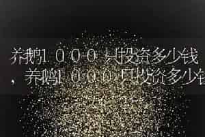 养鹅1000只投资多少钱