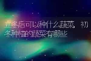 立冬后可以种什么蔬菜