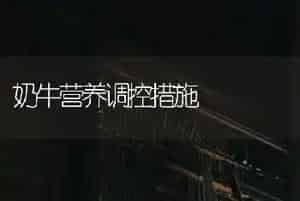 奶牛营养调控措施