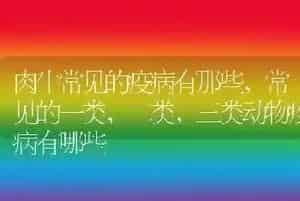 肉牛常见的疫病有那些
