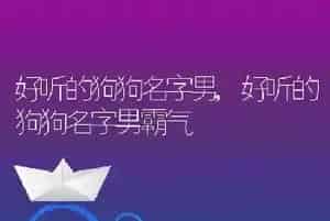 好听的狗狗名字男