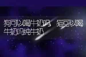狗可以喝牛奶吗