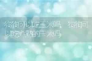 狗狗可以吃玉米吗