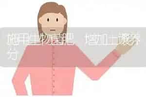 施用生物菌肥 增加土壤养分
