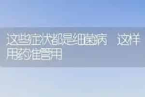 这些症状都是细菌病 这样用药准管用