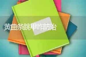 黄曲条跳甲咋防治