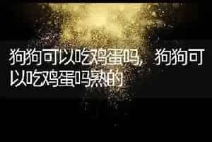 狗狗可以吃鸡蛋吗