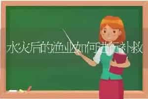 水灾后的渔业如何进行补救