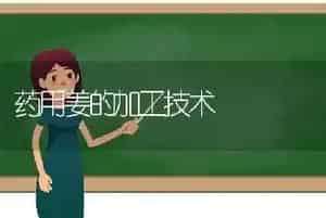 药用姜的加工技术