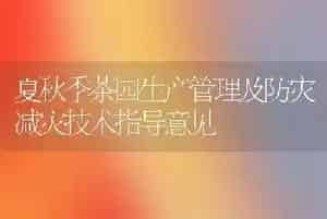 夏秋季茶园生产管理及防灾减灾技术指导意见