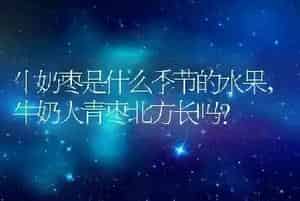 牛奶枣是什么季节的水果