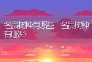 极小的小白点虫子