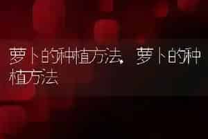 牛磺酸有什么作用