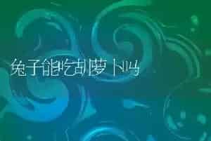 兔子能吃胡萝卜吗
