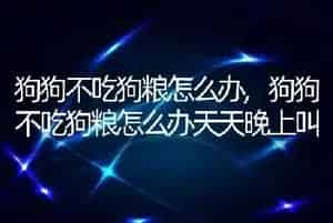 狗狗不吃狗粮怎么办