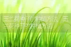 小狗几天能睁开眼睛