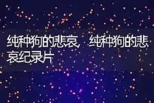 世界三大傻狗