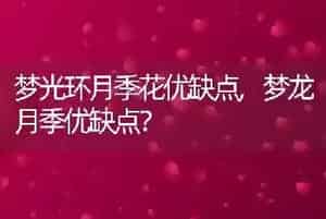 狗能吃馒头吗