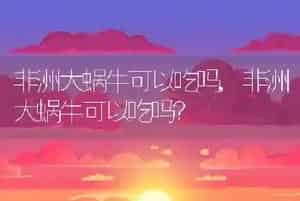 非洲大蜗牛可以吃吗