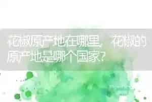 狗吃自己的屎