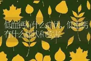 低血钙有什么症状