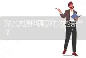 深水坑塘种藕怎样才能高产?