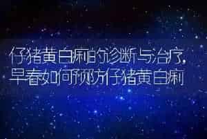 仔猪黄白痢的诊断与治疗