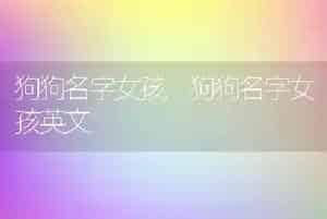 狗狗名字女孩
