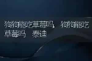 狗狗能吃草莓吗