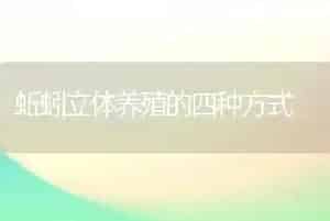 蚯蚓立体养殖的四种方式