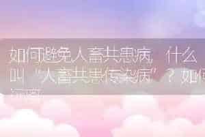 如何避免人畜共患病
