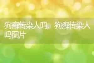 狗癣传染人吗