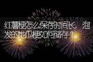 榆树的花语和传说