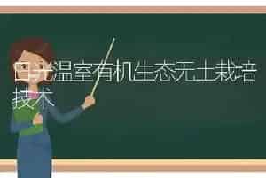 日光温室有机生态无土栽培技术