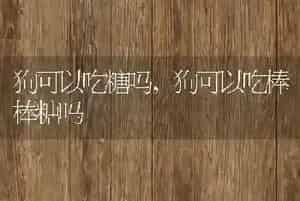 狗可以吃糖吗