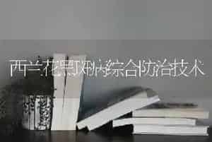 西兰花黑斑病综合防治技术