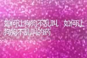 如何让狗狗不乱叫