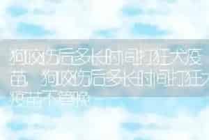 狗咬伤后多长时间打狂犬疫苗
