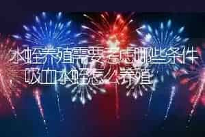 “怪鱼”半滑舌鳎的养殖技术