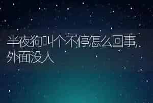 半夜狗叫个不停怎么回事