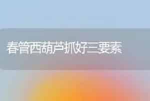 春管西葫芦抓好三要素